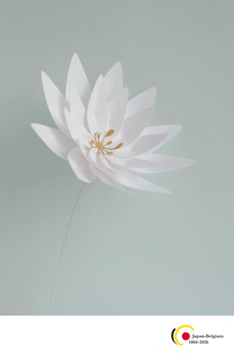 ベルギー作家と造るペーパーアート　涼やかな蓮花